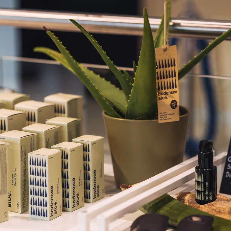 AQUARIUM SPRING 260310 225 A Lamprecht